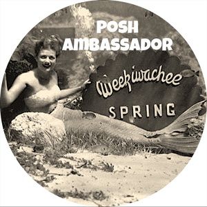 I’m a Posh Ambassador & Top Rated Seller